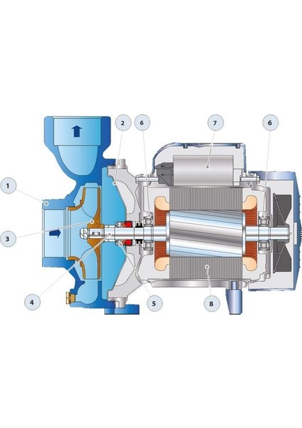 Hfm 6B Tek Fanlı Santrifüj Pompa Monofaze (220 V) 2 Hp