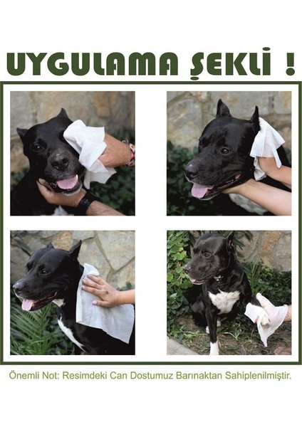 Cleapet Nano KOKU havlu (1 kutu 2 Adet 1 ay)