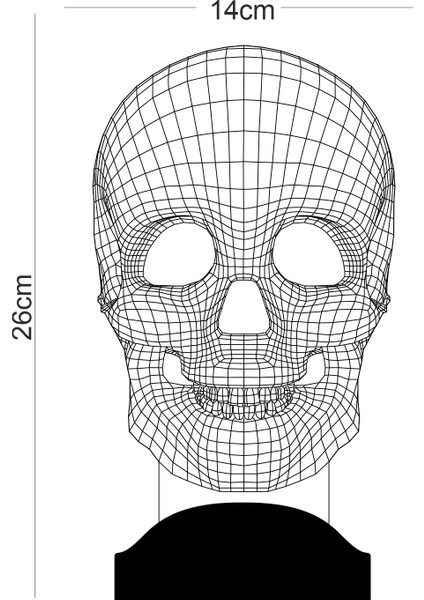 3 Boyutlu  Kuru Kafa  Büst LED Lamba