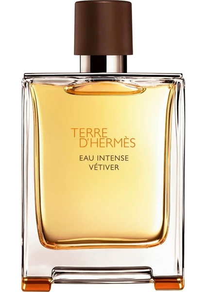 Terre D'Hermes Eau Intense Vetiver Edp 100 ml Erkek Parfümü