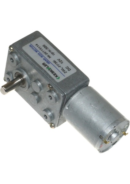 12V 300Rpm Redüktörlü L DC Motor