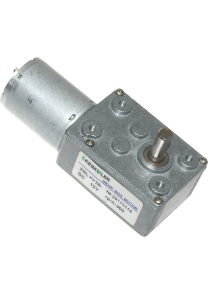 12V 300Rpm Redüktörlü L DC Motor