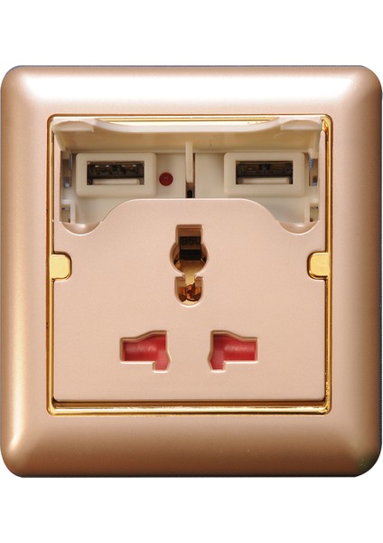 B 2250 5V 1 A Ve 2.1 A2 Usb Girişli Duvar Gold Renk