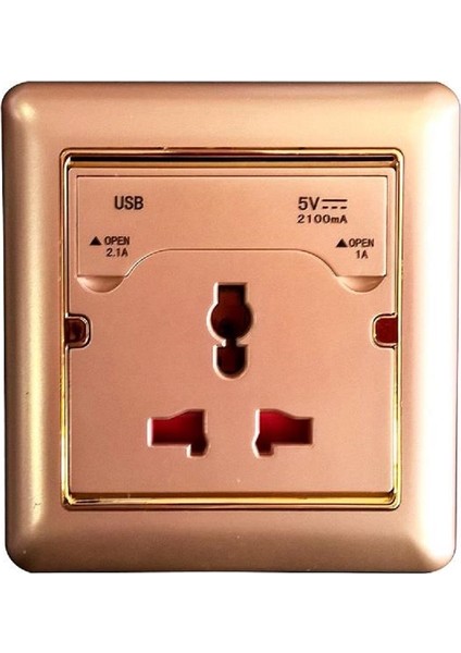 B 2250 5V 1 A Ve 2.1 A2 Usb Girişli Duvar Gold Renk