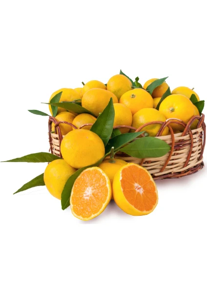 Babamın Bahçesi Satsuma (Rize) Mandalina 6 Kg