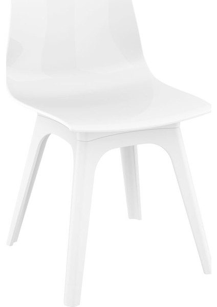 096 Allegra PP Contracter Serisi Sandalye