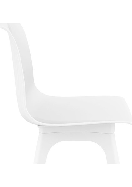096 Allegra PP Contracter Serisi Sandalye
