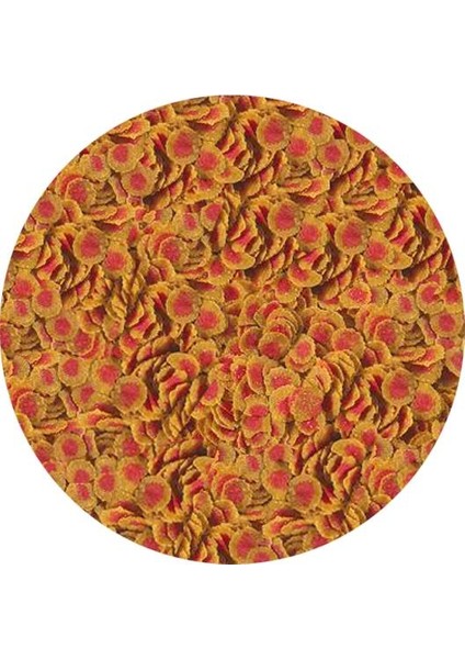 Pro Colour 100gr Balık Yemi Kovadan Bölme