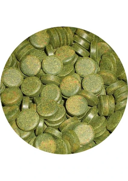 Spirulina Tabs - Kovadan Bölme 50 adet