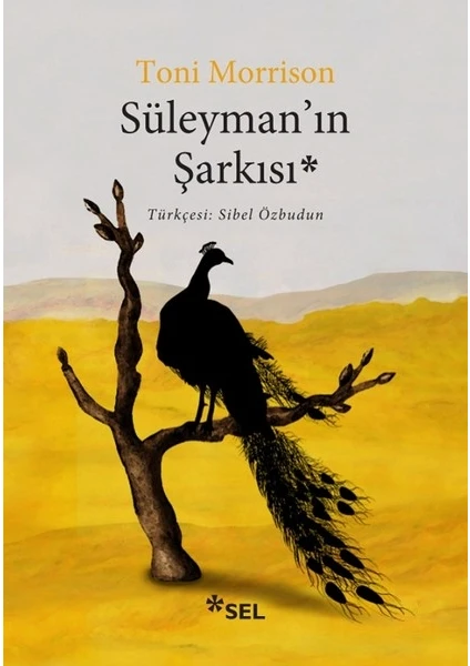 Süleyman'ın Şarkısı - Toni Morrison