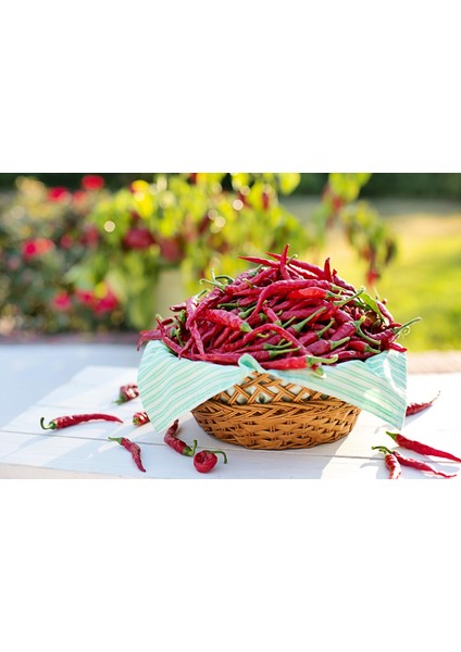 Acı Kırmızı Toz Biber Doğal El Yapımı 250 gr indirimleri