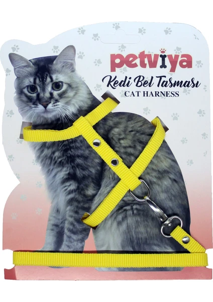 Kedi Göğüs (Bel) Tasması