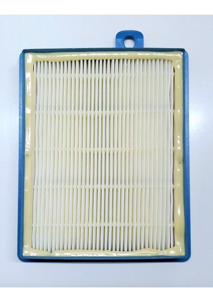 Aeg Hepa 13 Yıkanabilir Filtre