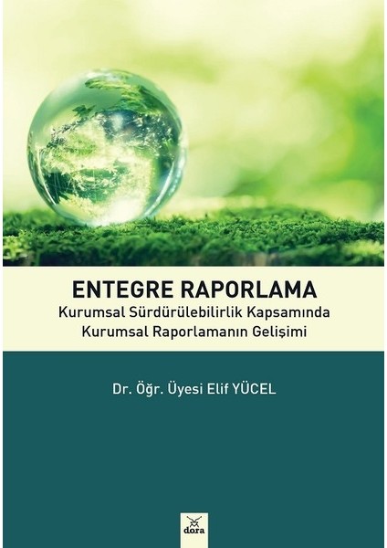 Entegre Raporlama - Elif Yücel