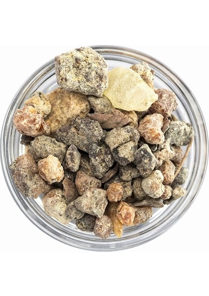 Çam Sakızı 50 gr