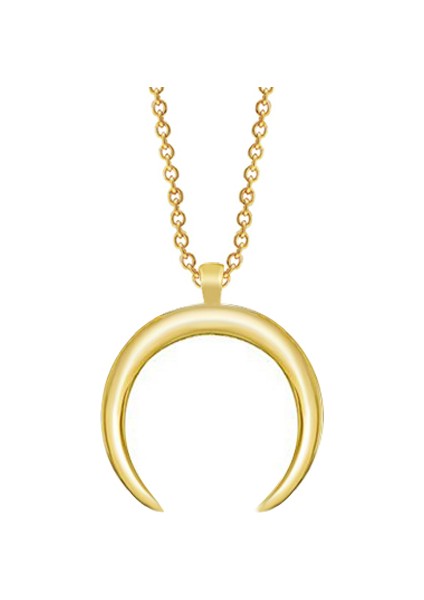 AltınSepeti Altın Ters Boynuz Kolye AS1393KL