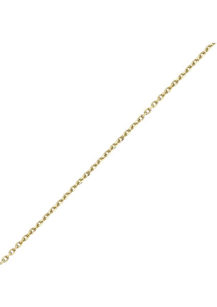 AltınSepeti 14 Ayar Altın Forse Zincir AS01ZCR