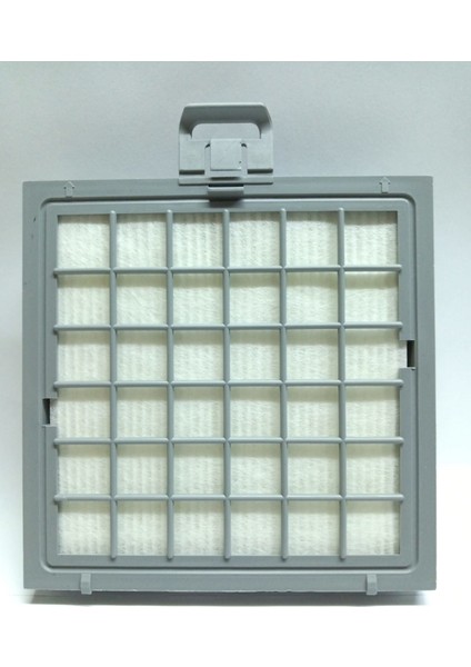 Bosch Ergomax Hepa Filtre