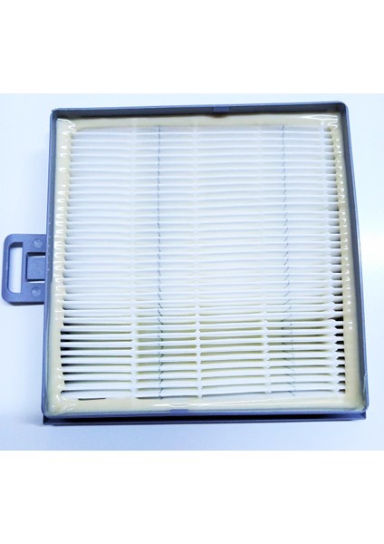 Bosch Ergomax Hepa Filtre