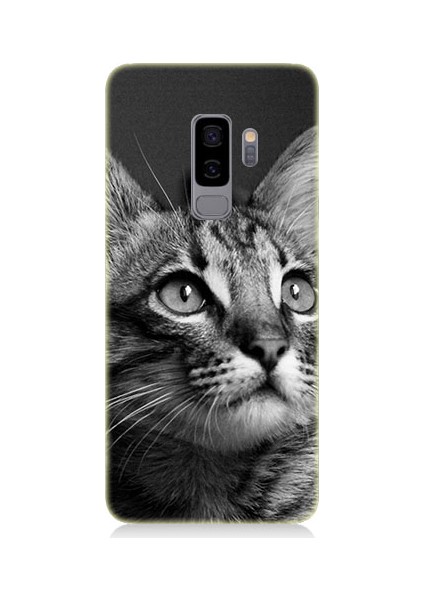 Samsung Galaxy S9 Plus Masum Kedi Desenli Tasarım Silikon Kılıf