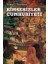 Kimsesizler Cumhuriyeti - İsmail Saymaz 1
