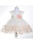 Kız Bebek Simli Gül Detaylı Elbise 1