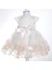 Kız Bebek Simli Gül Detaylı Elbise 3