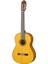 CG142S Klasik Gitar 1
