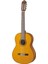 CG142C Klasik Gitar 1
