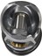 Piston Sekmanlı 81 Mm 8772174Std 03G107065C Passat Golf 5 Jetta 2
