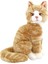 Animals Of The World Oturan Bej Kedi Peluş Oyuncak 22 cm 1