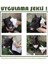 Cleapet Nano KOKU havlu (1 kutu 2 Adet 1 ay) 4