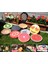 Şımarık Emoji Tasarım Daire Minder Ø40 2