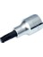 Lokmalı Star (Torx) Uç T 25 1