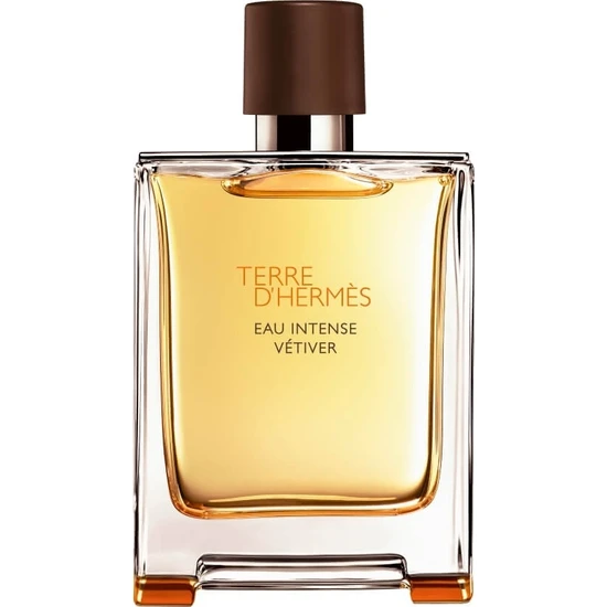Hermes Terre D'Hermes Eau Intense Vetiver Edp 100 ml Erkek Parfümü