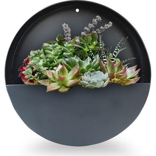 Lica Concept Yuvarlak Metal Duvar Saksılığı Fiyatı Lica Concept Yuvarlak Metal Duvar Saksılığı Fiyatı