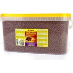 Tropical Cichlid Carnivore Medium Pellet Balık Yemi 100 gr