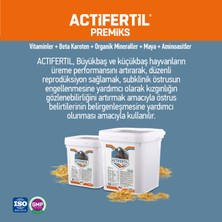 Actıfertıl 10 kg - Kızgınlık Artırıcı - Sığır, Koyun, Keçi - Fertilite Artırıcı - (Yoğun Premiks)