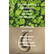Dermal Cıca x Mide Serum Centella Asiatica ve Seramid Özlü Serum 50 ml
