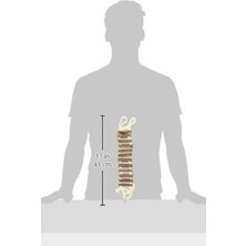 Alyones Doğal Ip Merdivenli Kuş Oyuncağı