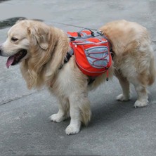 ZHKJ Shop Shop Sırt Çantasından Köpekler Için Kendinden Taşınabilir Sırt Çantası Nefes Alabilen Örgü Çantası, Özellikler: L   (Yurt Dışından)