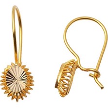 Sarkıt 14 Ayar Altın Küpe