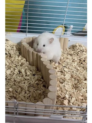 Alyones Hamster Uzun Ahşap Köprü, Cüce Hamster Bükülebilir Merdiven,