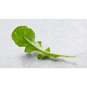 Roka Tohumu(Geniş Yaprak), Marul Tohumu(Iceberg),tere Tohumu(Geniş Yaprak) 3 Lü Set Tohumu 1 kg