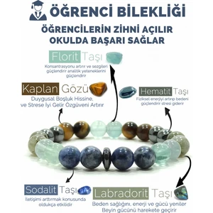 Öğrenci Bilekliği Sodalit Florit Labradorit Hematit Kaplangözü Doğal Taş Bileklik Denver