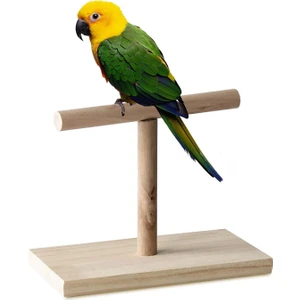 Ahşap Kuş Eğitim Standı