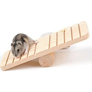 Küçük Evcil Hayvanlar Için Spor Oyuncakları