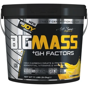 Big Mass + Gh Factors 5000 Gr - Muz