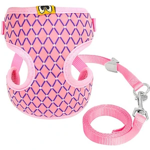 Set Göğüs Kayışı Nefes Alabilen Çıkarılabilir Izgara Desen Kablo Demeti Pet Yelek Tasma Köpek Için  (Yurt Dışından)