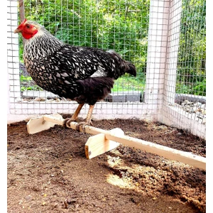 Kümes Tüneği, Tavuk ve Minik Civciv Tüneği, Alyones Doğal Kümes Aksesuarı Tünek